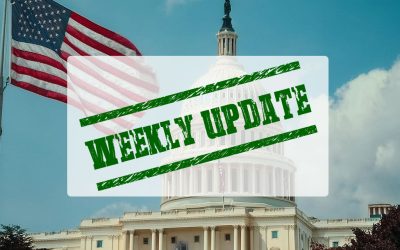 Weekly Washington Update: Leadership Votes Shape 119th Congress: What You Need to Know