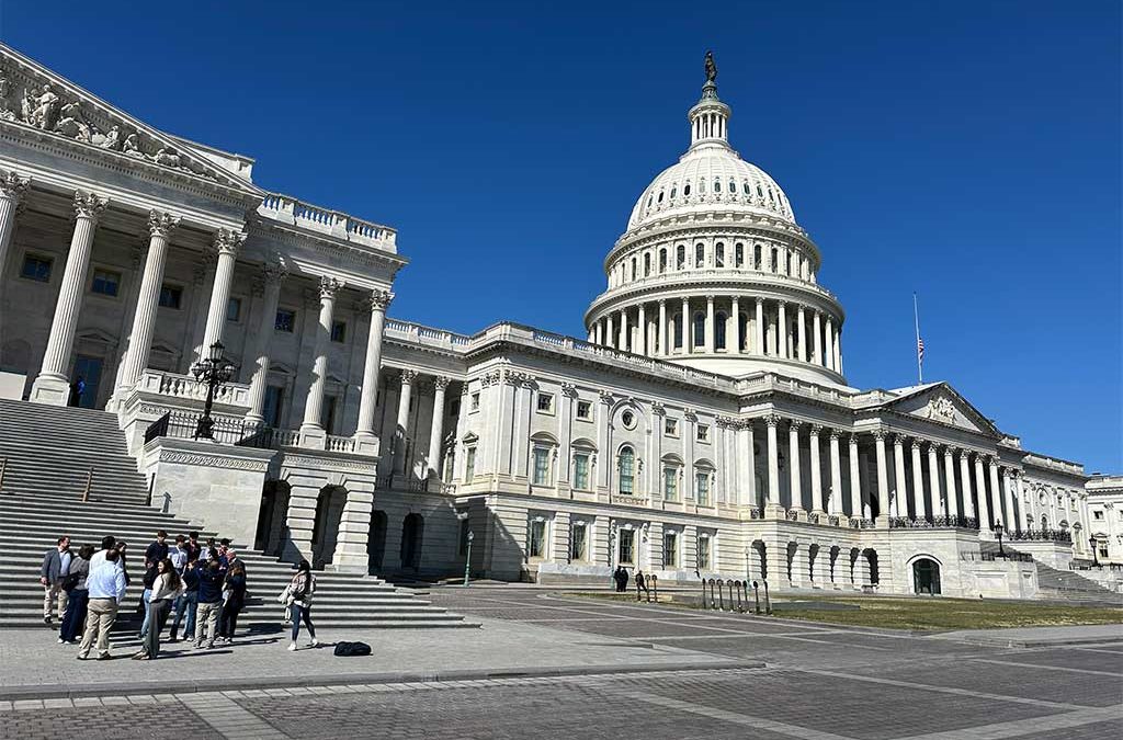 Tax Update: Senate Republicans Release Tax Text