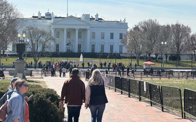 US Economic Outlook July 2025