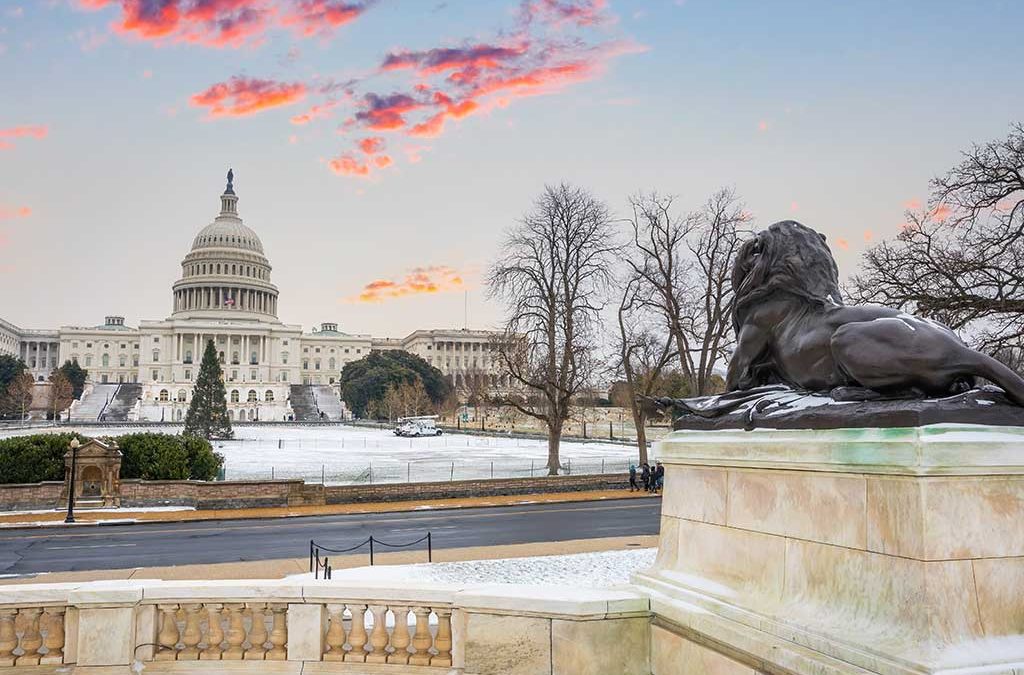 November 2025 Tax Regulatory Update