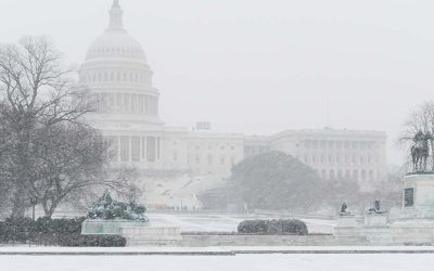 Content Taxation & Representation: FY2026 Omnibus at Risk: Key Updates Inside