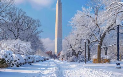 Content Taxation & Representation: Congress Passes FY2026 Spending – Here’s What Changed