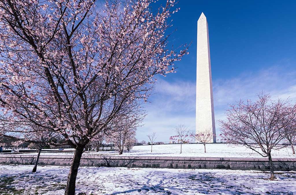 Taxation & Representation: Reconciliation 2.0. Thune’s Next Big Move Revealed