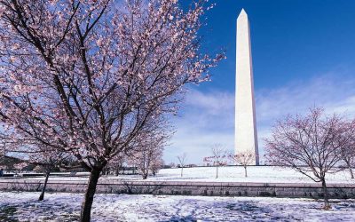 State Wealth Tax Tracker Previous Proposals Wealth Tax News Taxation & Representation: Reconciliation 2.0. Thune’s Next Big Move Revealed