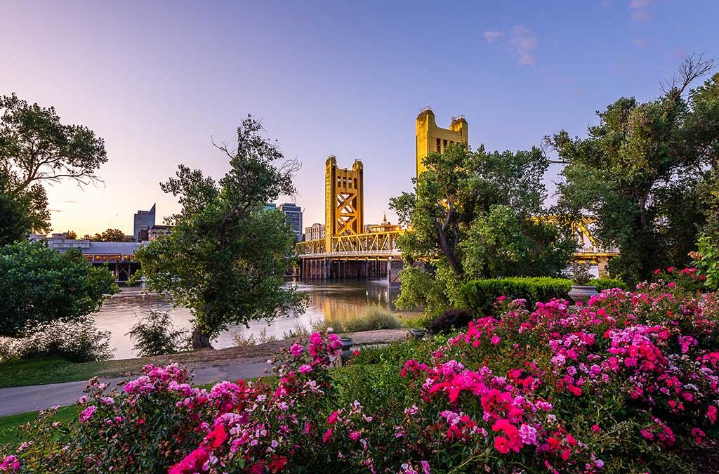 Soldano to Present Survey Findings at FBA of California Conference