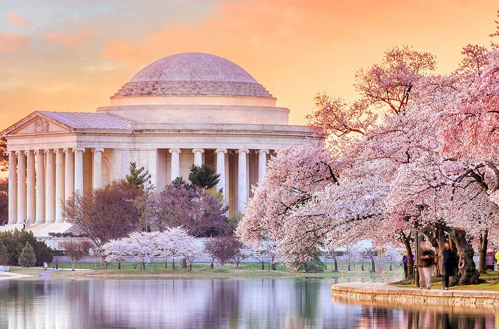 Taxation & Representation: Wealth taxes are back. See the 4 bills to watch