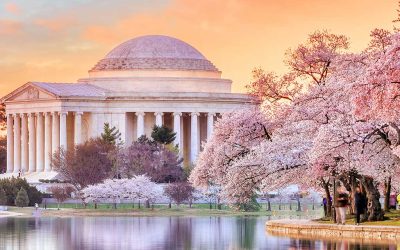 Taxation & Representation: Wealth taxes are back. See the 4 bills to watch